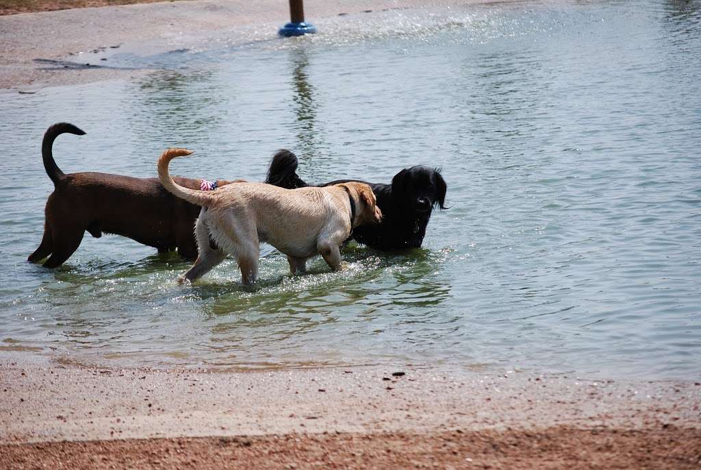 Pawm Springs Dog Park | 15300 University Blvd, Sugar Land, TX 77479, USA | Phone: (281) 275-2825