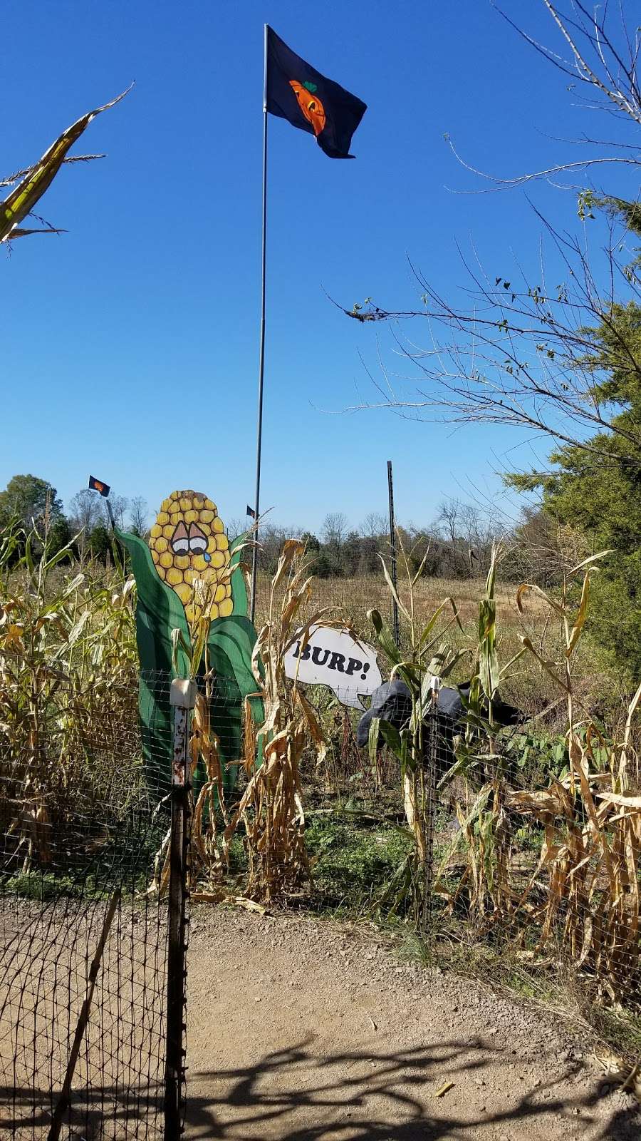 Cox Farms | 15621 Braddock Rd, Centreville, VA 20120, USA