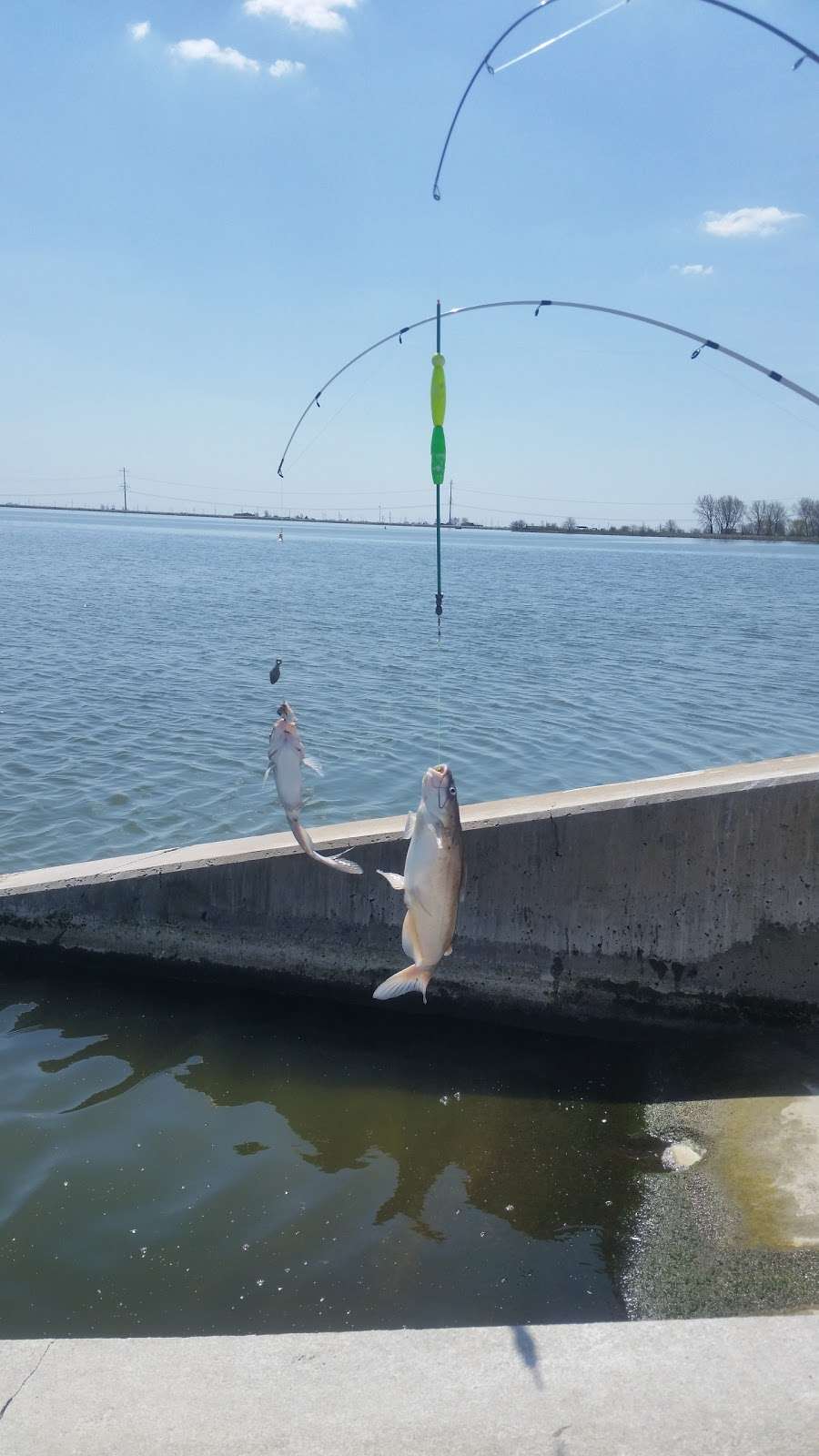 LaSalle Lake-State Fish & Wildlife Area | 2651 N.21st Rd, Marseilles, IL 61341, USA | Phone: (815) 357-1608