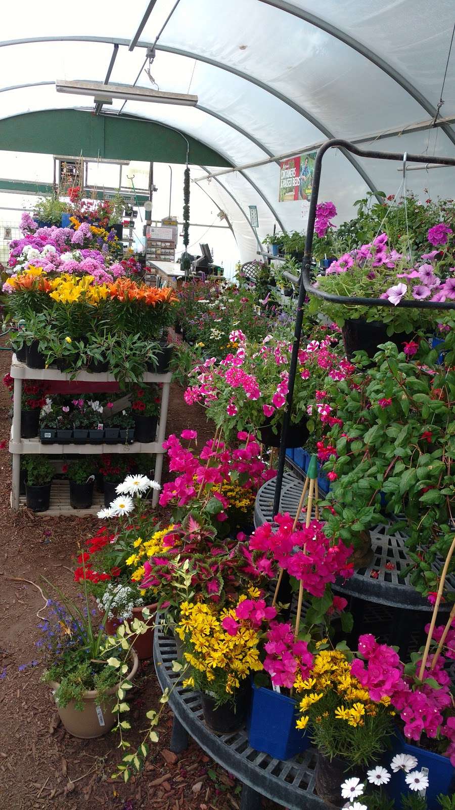 Holly Acres Nursery and Garden Center | 5403 CO-86, Elizabeth, CO 80107, USA | Phone: (303) 646-8868