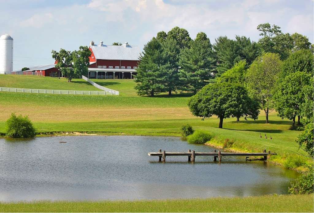 Tusculum Farm | 4601 Damascus Rd, Laytonsville, MD 20882, USA | Phone: (833) 733-2276