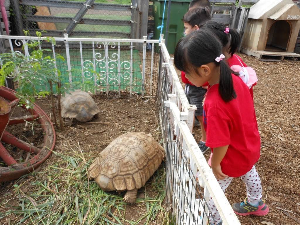 Good Shepherd Preschool | 638 N Kuakini St, Honolulu, HI 96817, USA | Phone: (808) 533-3088