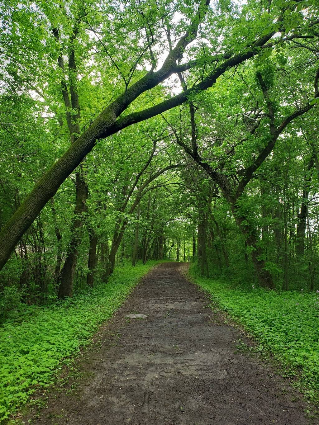 Hyland Lake Park Reserve - Recreation Area | 10145 E Bush Lake Rd, Bloomington, MN 55438, USA | Phone: (763) 694-7687