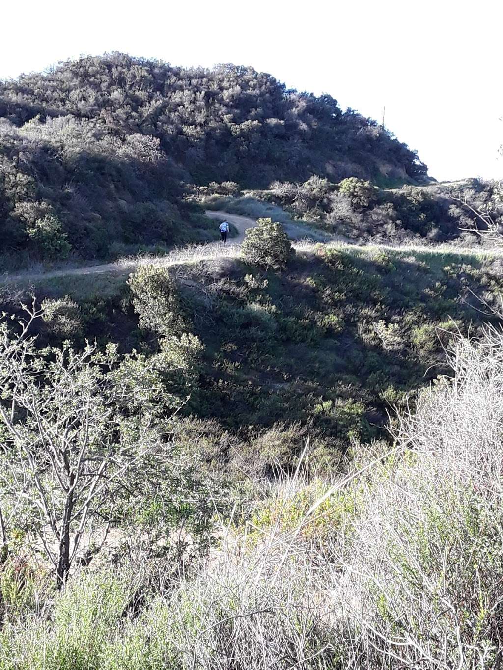 Temescal Peak | Pacific Palisades, CA 90272, USA