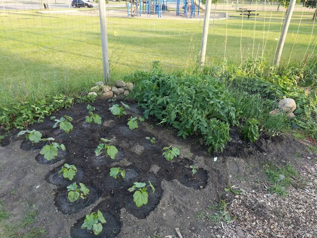 Wolk Park Community Gardens | Fellowship Ln, Burnsville, MN 55337, USA | Phone: (952) 895-4500