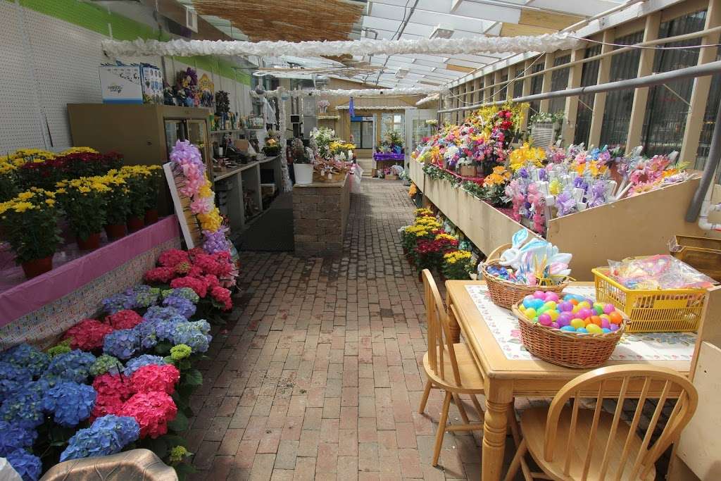 Longford Garden Center | 947 Kuser Rd, Hamilton Township, NJ 08619, USA | Phone: (609) 981-7667