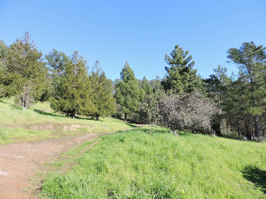 Hillside Natural Area | 7501 Schmidt Ln, El Cerrito, CA 94530