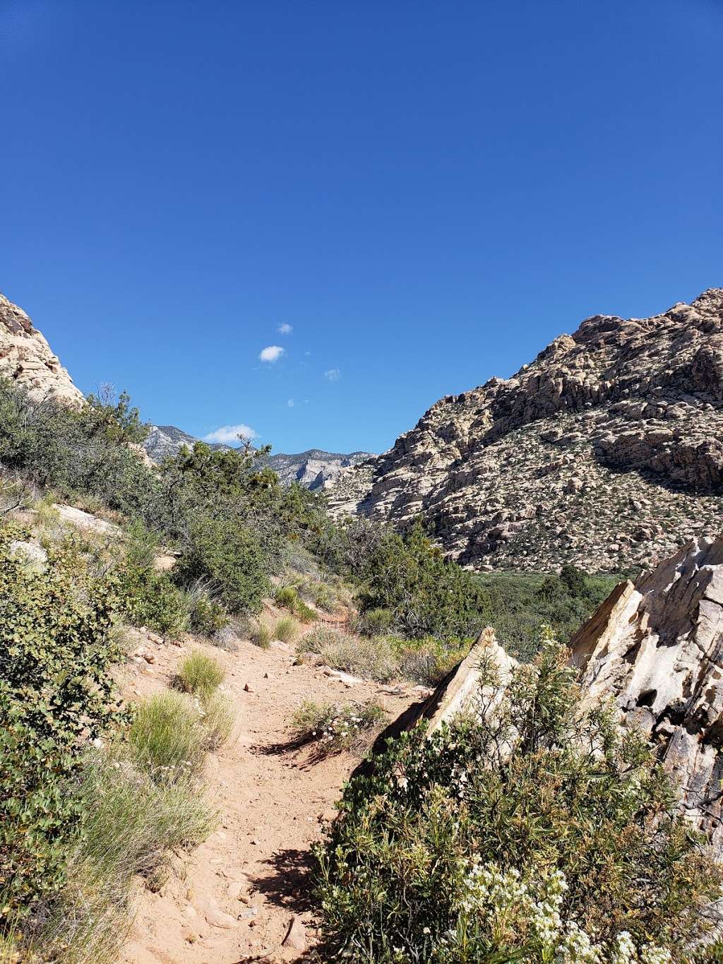 Spring Mountain Youth Camp Trail | Scenic Loop Dr, Las Vegas, NV 89161