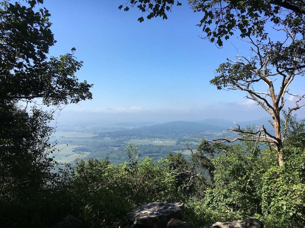 Weiser State Forest | Appalachian Trail, Pine Grove, PA 17963, USA