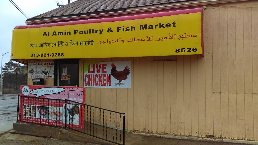 Al Amin Halal Live Poultry | 8526 Conant St, Hamtramck, MI 48212, USA | Phone: (313) 921-9288