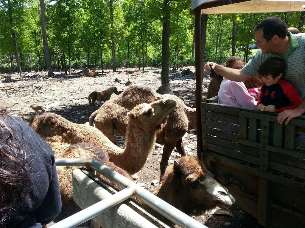 Catoctin Zoo | 15, Thurmont, MD 21788, USA