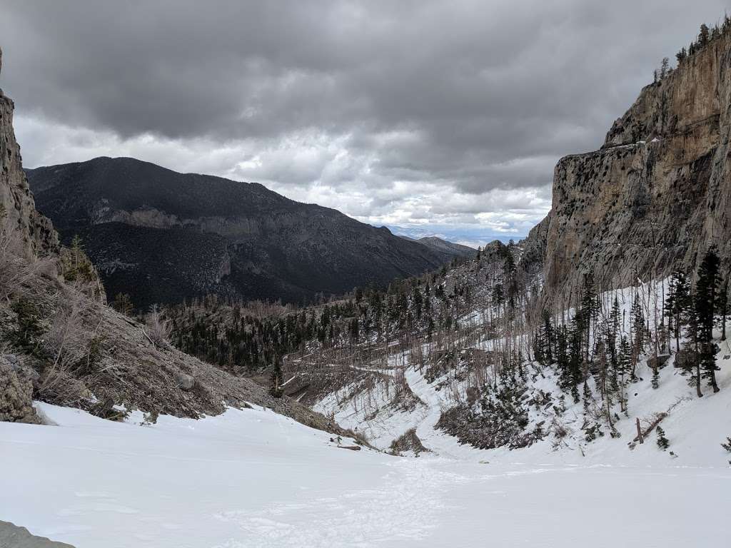 Echo Overlook | South Loop, Mt Charleston, NV 89124, USA