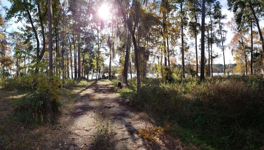 Shell Oil Road Hunter Camp | US Hwy Forest 274, Cleveland, TX 77328