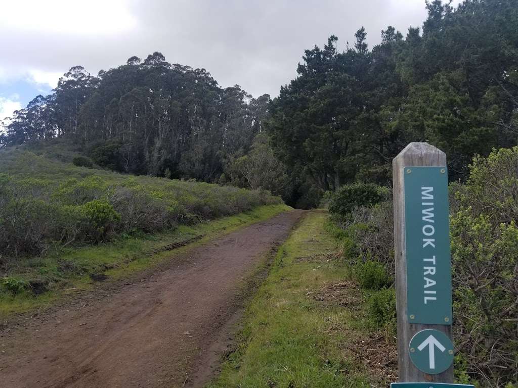 Miwok Trail | Miwok Trail, Mill Valley, CA 94941, USA