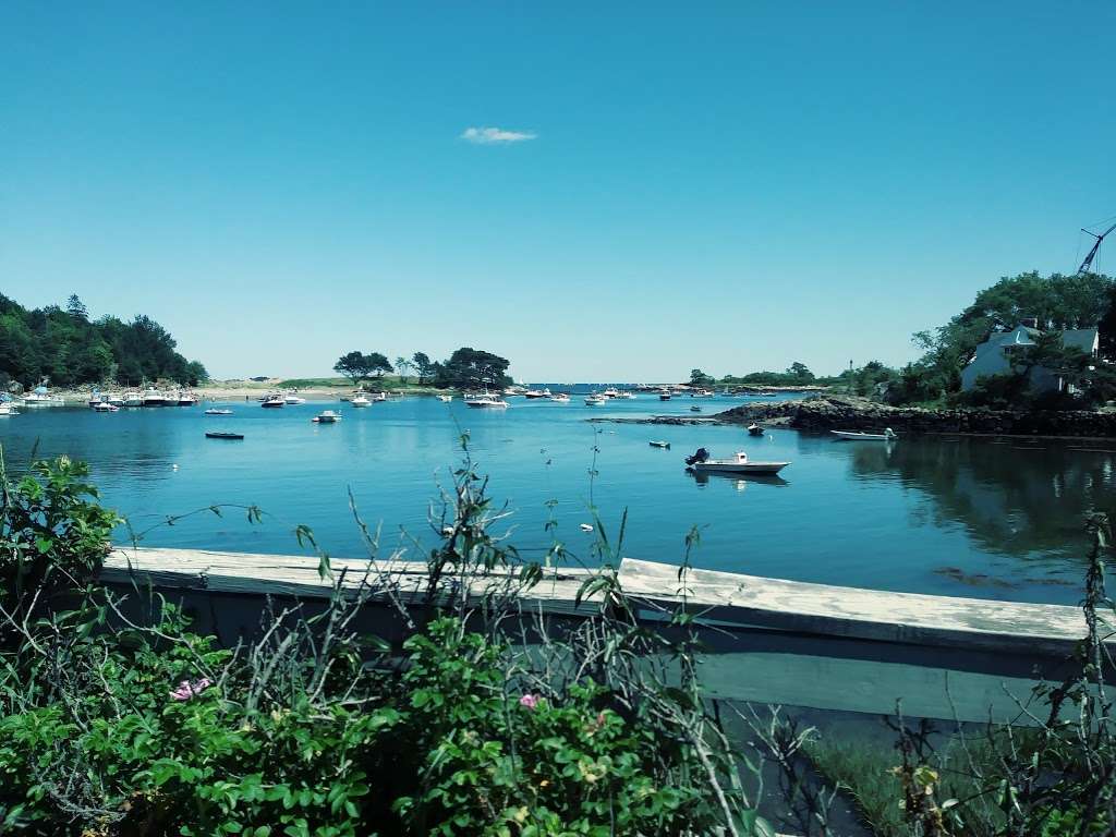 Steer Swamp Conservation Area | 188 Washington St, Marblehead, MA 01945 | Phone: (781) 631-0000