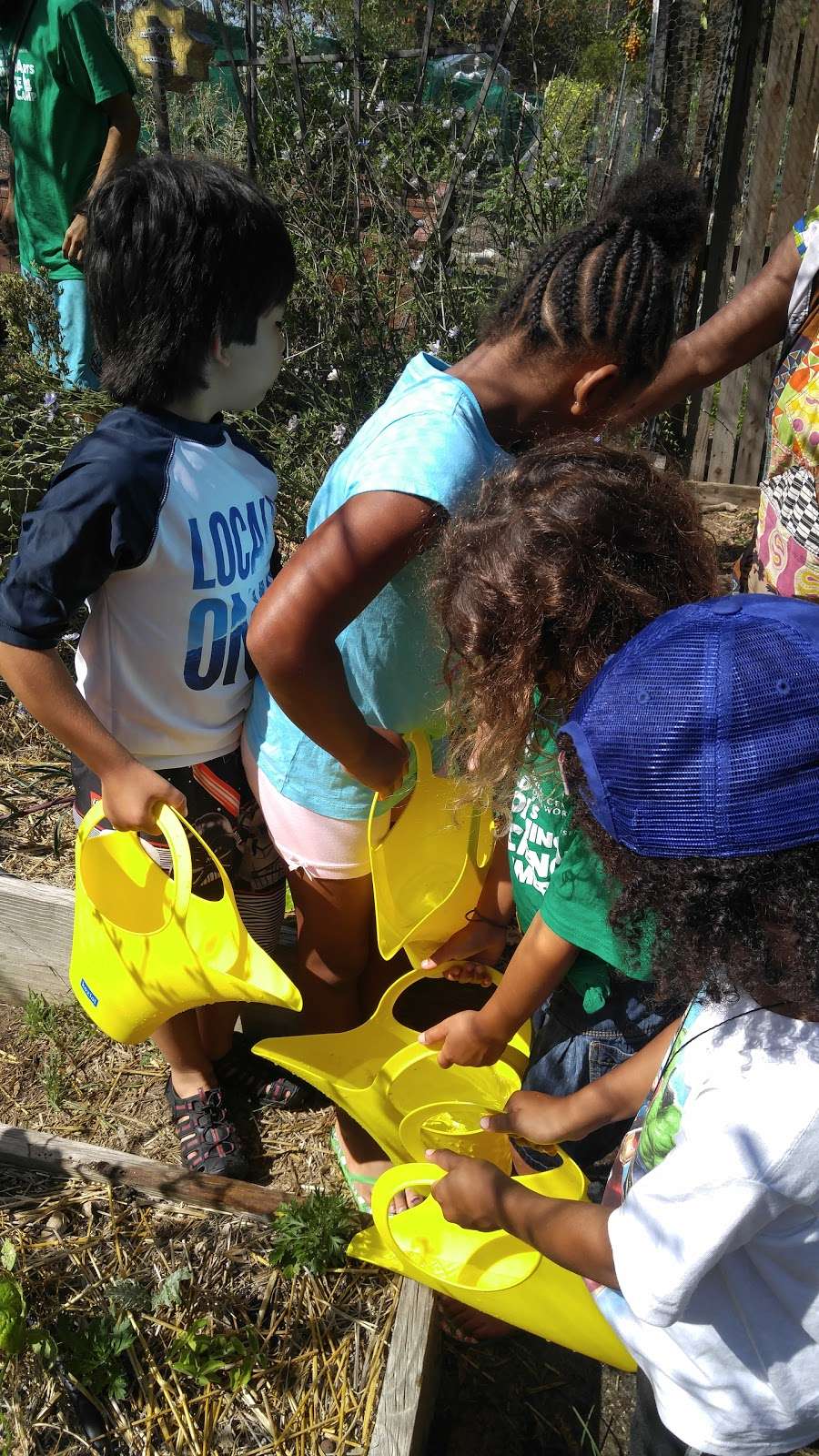 Childrens Organic Ethnobotany Garden | 2100 Park Blvd, San Diego, CA 92101, USA | Phone: (619) 230-1190