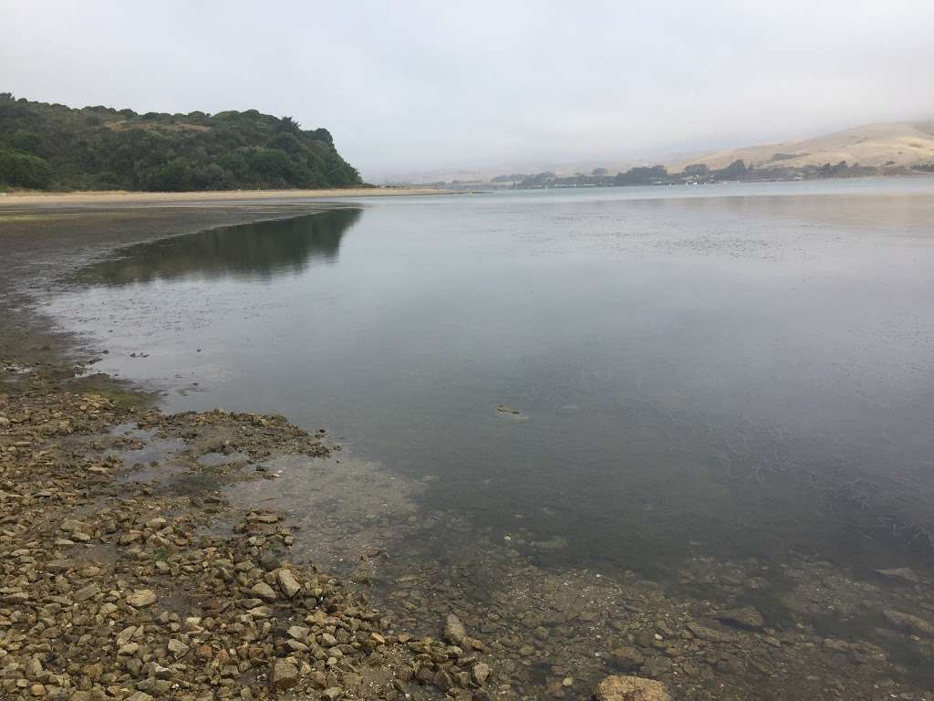 Blue Waters Kayaking Office (NO TOURS or RENTALS MEET HERE) | 60 4th St, Point Reyes Station, CA 94956, USA | Phone: (415) 669-2600