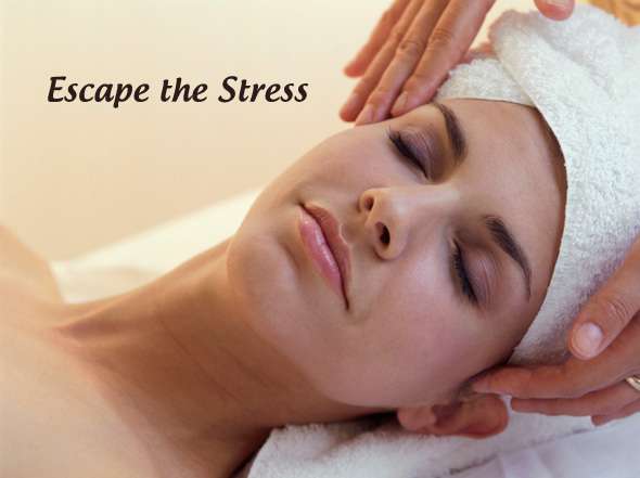 Burt And Will Plastic Surgery And Dermatology 24600 W 127th St 240 Plainfield Il 60585 Usa