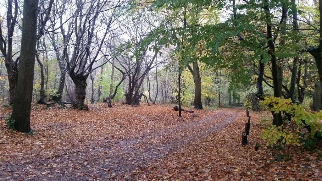 Danemead Scout Campsite | Broxbourne Common, Cock Ln, Broxbourne EN11 8GG, UK