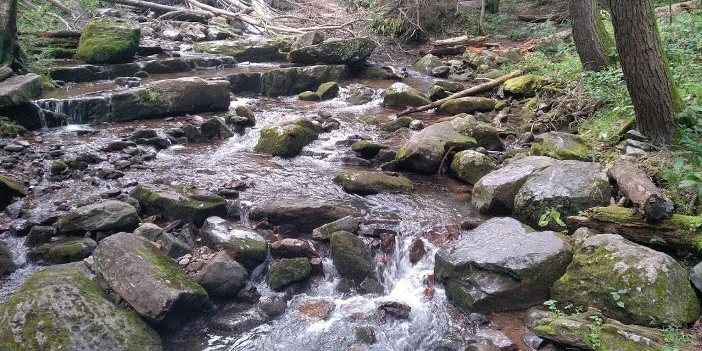 Dunnfield Creek Natural Area trailhead | 40°5818. 75°0733., 9 N 3rd St, Stroudsburg, PA 18360, USA