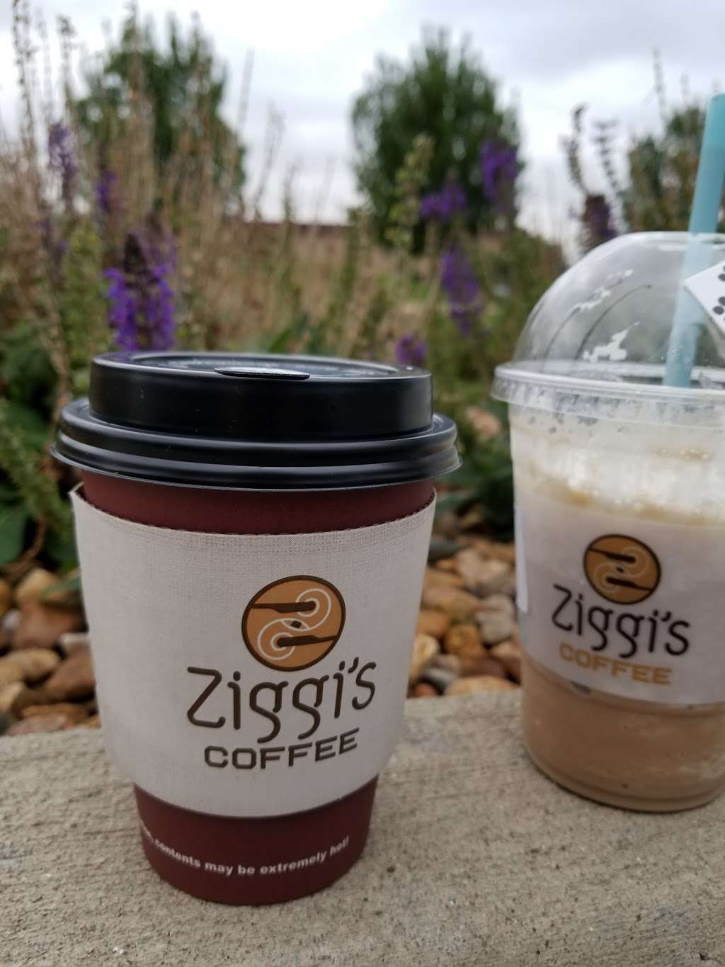 Ziggis Coffee | 1729 Hover St, Longmont, CO 80501, USA | Phone: (303) 682-5120