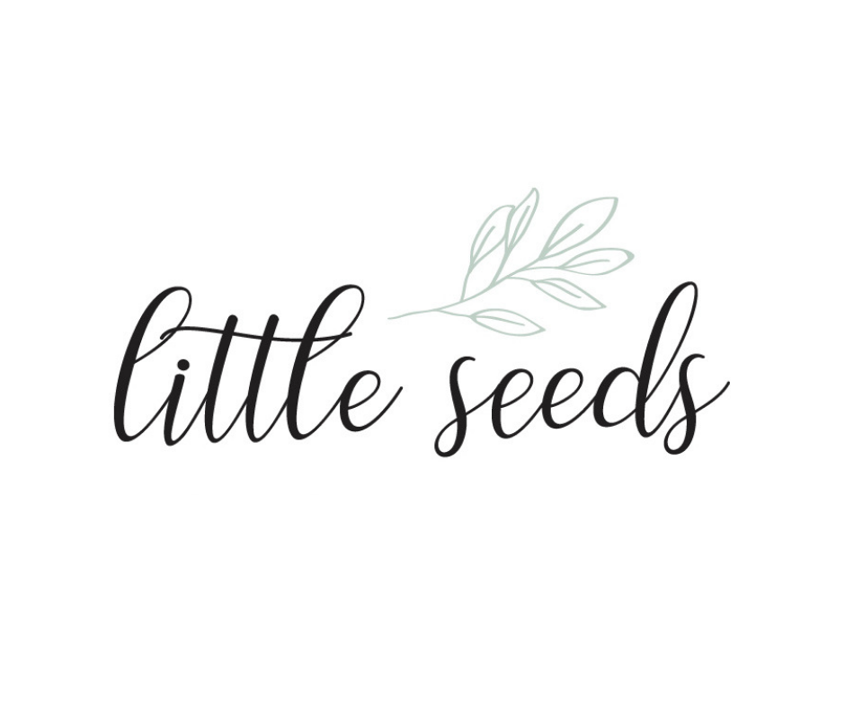 little seeds | 25 Taunton St, Plainville, MA 02762, USA | Phone: (774) 643-6140