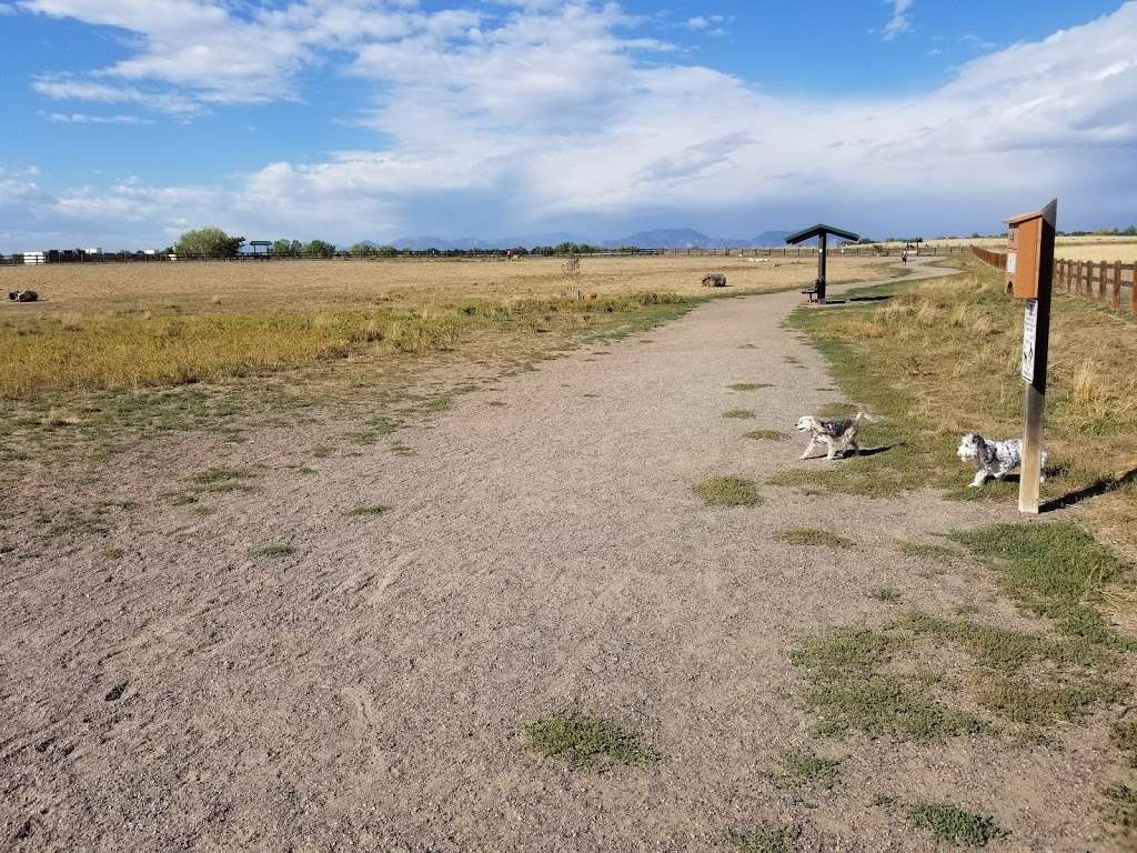 The Great Bark Dog Park | 597 N 119th St, Lafayette, CO 80026, USA | Phone: (303) 665-5588