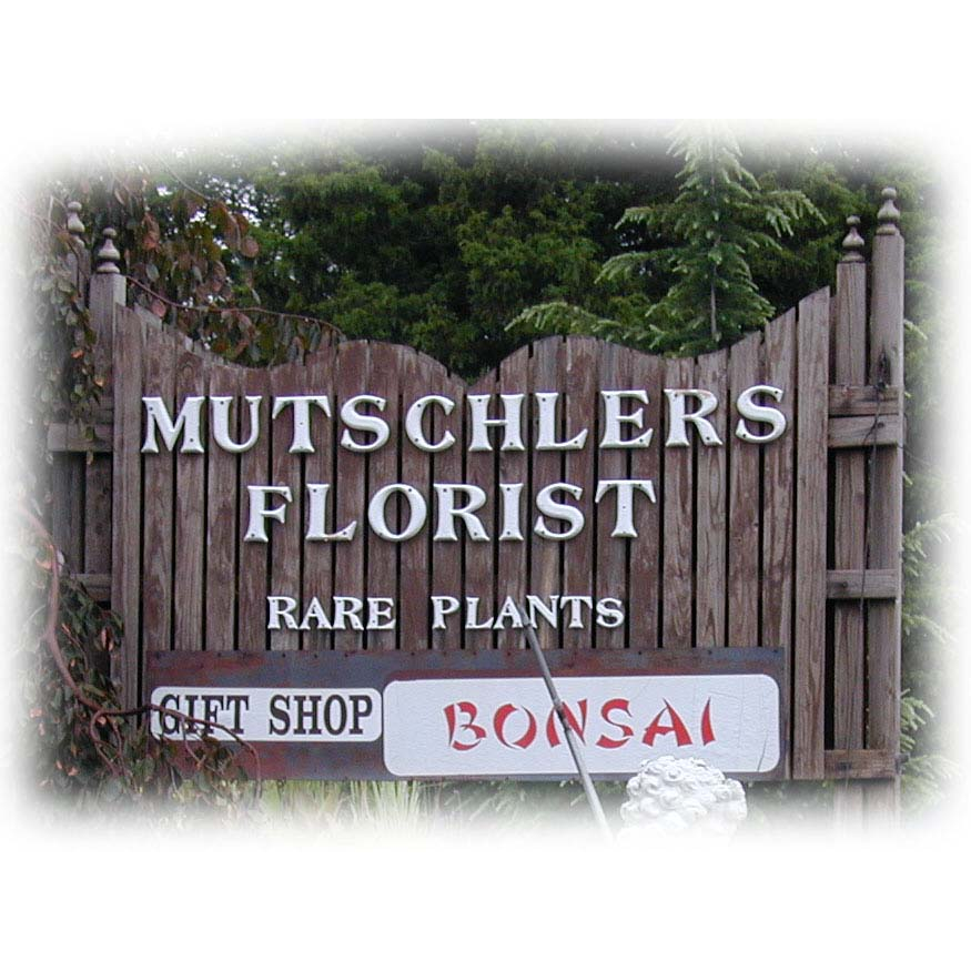 Mutschlers Florist & Plants | 6601 Perkiomen Ave, Birdsboro, PA 19508, USA | Phone: (610) 582-0662