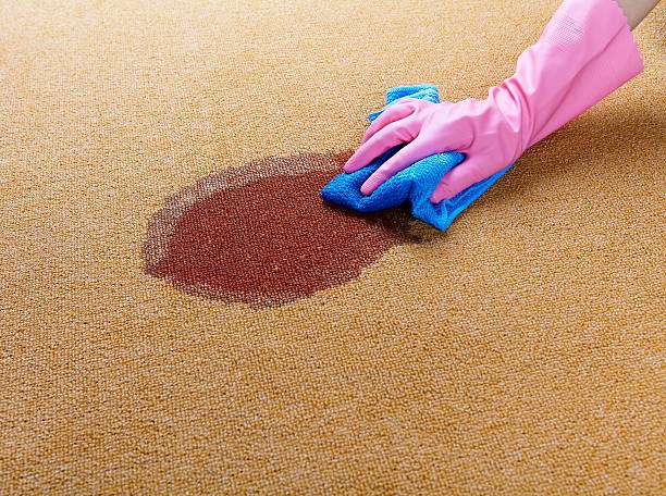 S T R Rug Cleaner | 21065 Dulles Town Cir, Sterling, VA 20166, USA | Phone: (703) 721-4996