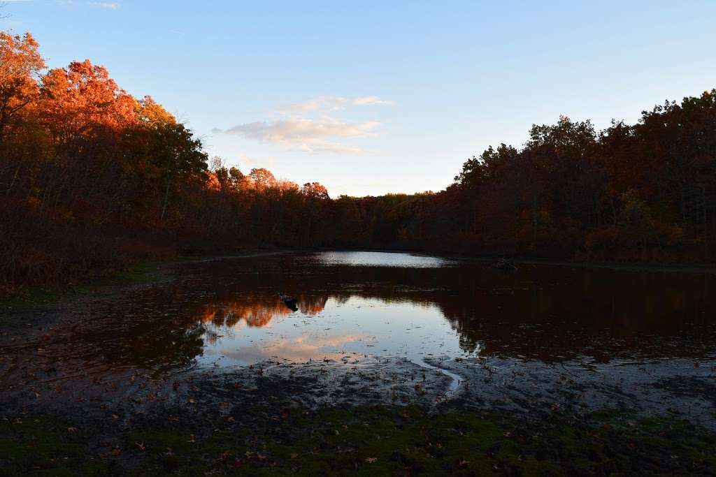 Long Pond Park | Clarendon Ave, Staten Island, NY 10309, USA