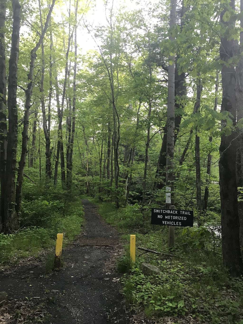 Switchback Railroad Trail | Switchback Railroad Trail, Jim Thorpe, PA 18229, USA