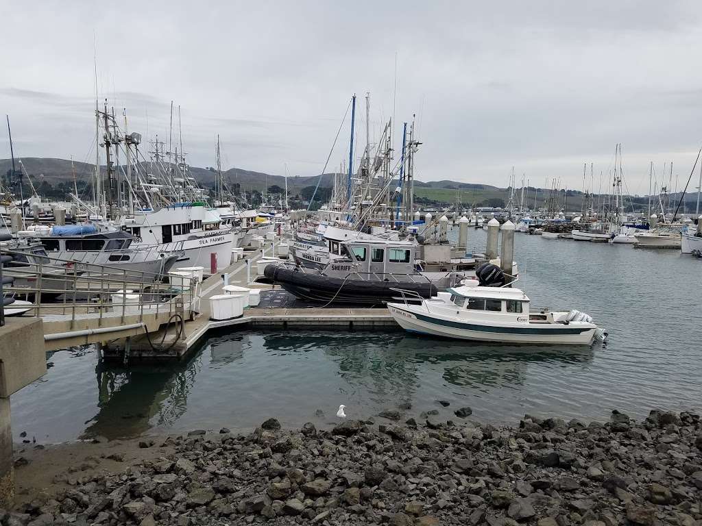 Spud Point Marina | Bodega Bay, CA 94923