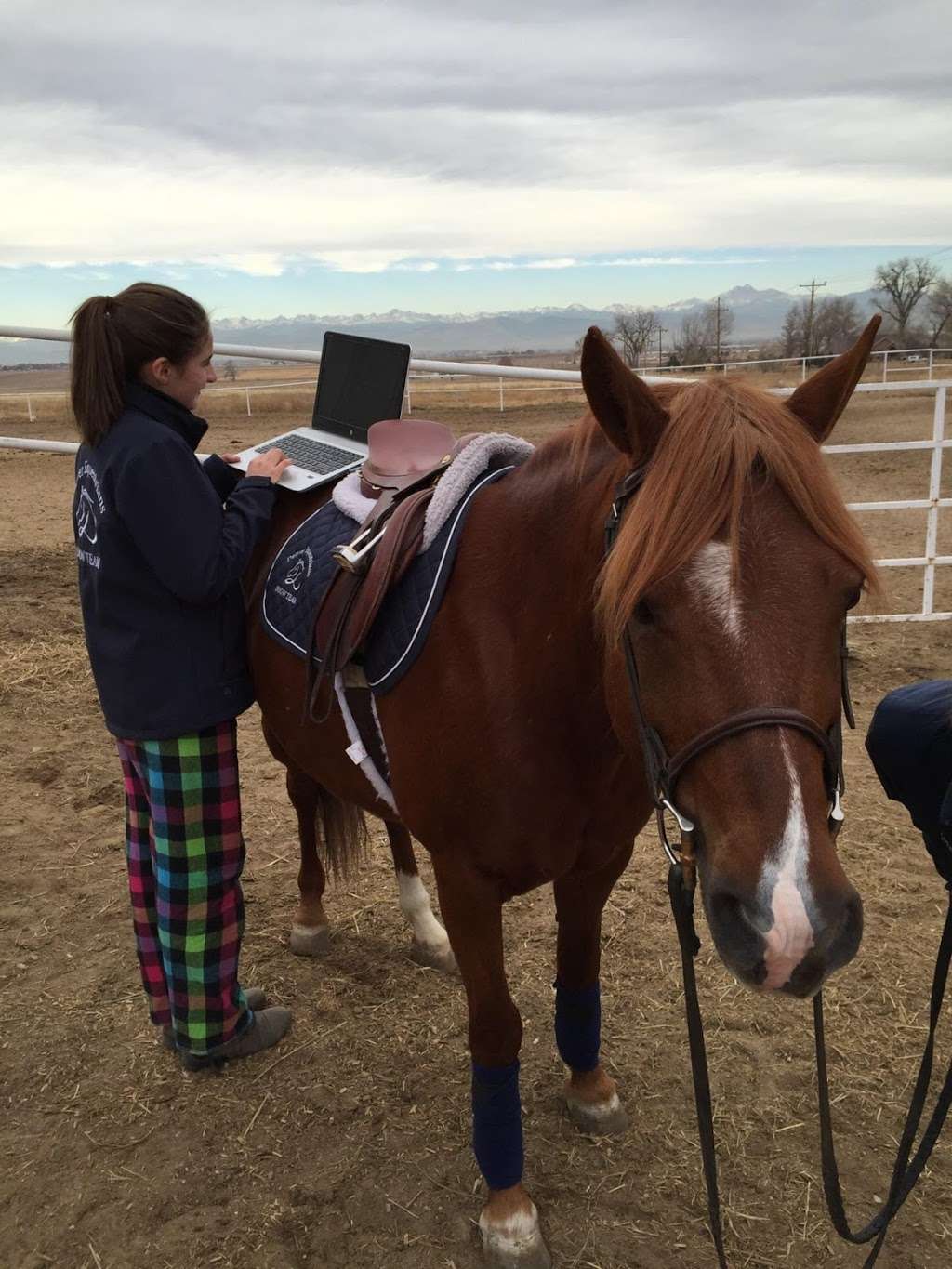 Denver Equestrians Riding School | 5200 W Coal Mine Ave, Littleton, CO 80123, USA | Phone: (303) 973-0077