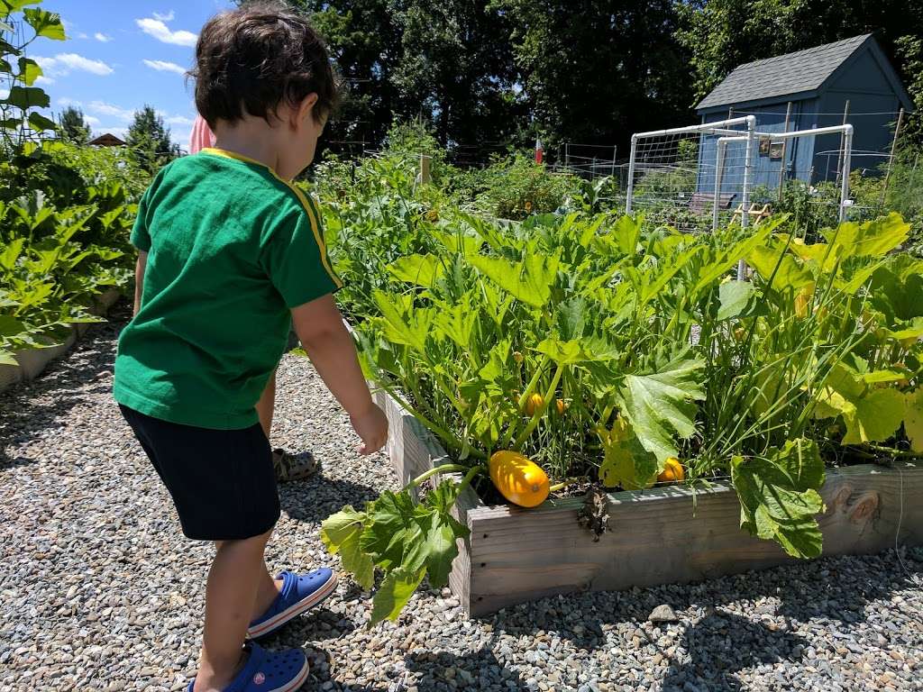 Pequannock Township Community Garden | Farm Rd, Pompton Plains, NJ 07444, USA