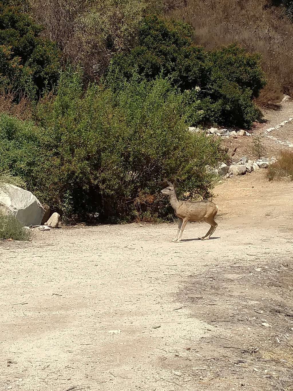 Rosemont Preserve | La Crescenta, CA 91214, USA | Phone: (626) 796-0782 Rosemont Preserve | La Crescenta, CA 91214, USA | Phone: (626) 796-0782