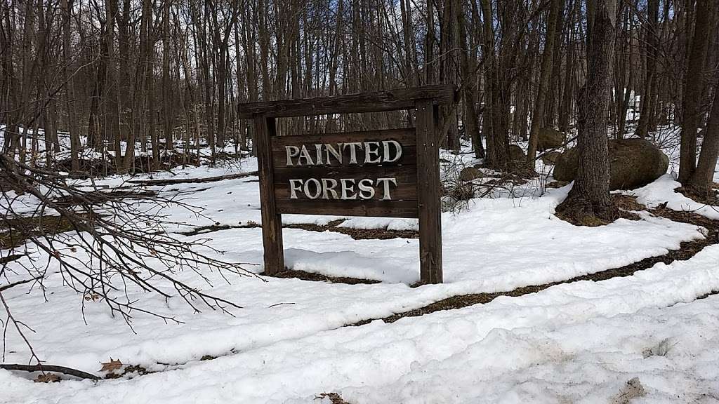 Painted Forest | Ringwood, NJ 07456, USA