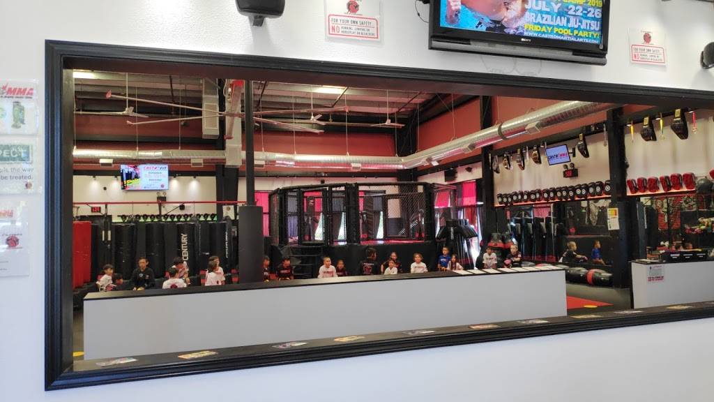 Castro Martial Arts | 450 W Larch Rd #7, Tracy, CA 95304, USA | Phone: (209) 839-8403