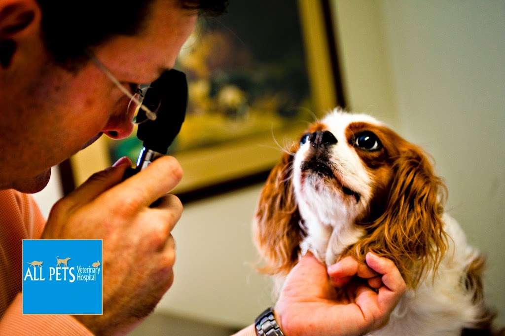 All Pets Veterinary Hospital | 915 S Talbot St, St Michaels, MD 21663, USA | Phone: (410) 745-5275