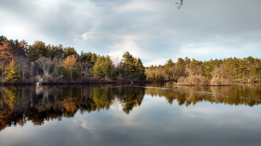 Harold Parker State Forest | 133 Jenkins Rd, Andover, MA 01810, USA | Phone: (978) 475-7972