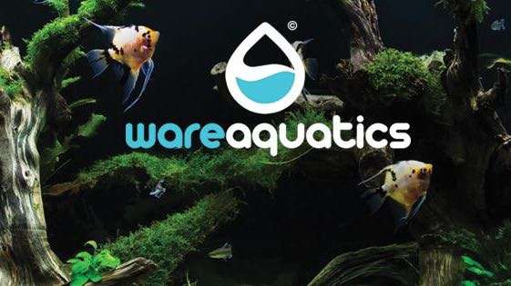 Ware Aquatics | 1 The Green, Ware SG12 0QW, UK | Phone: 01920 464442