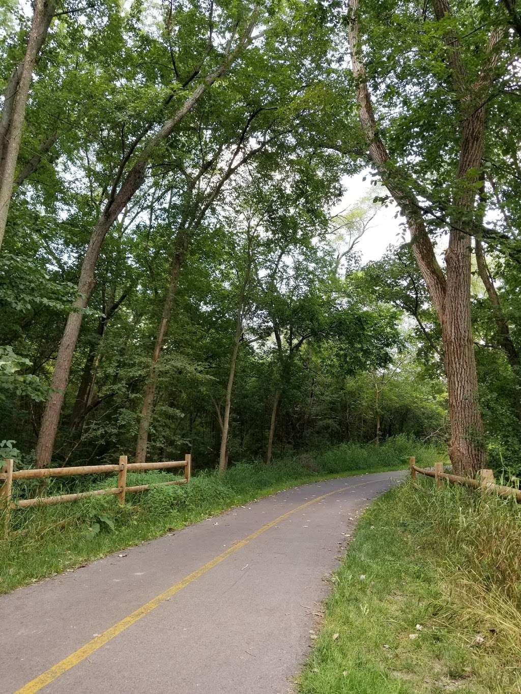 McLaughry Spring Woods | McClaughry Springs Woods (Cook County Forest Preserve), Palos Park, IL 60464