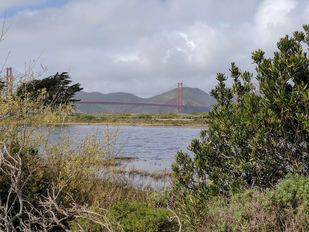 Crissy Field Marsh | Golden Gate Promenade, San Francisco, CA 94129 | Phone: (415) 561-4323