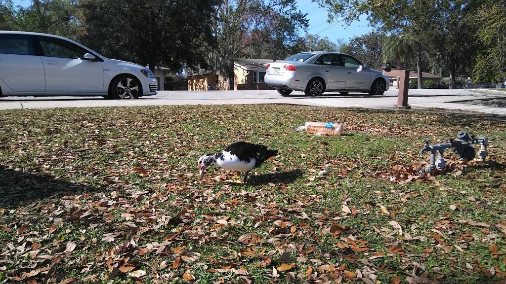 Colonial Manor Park | 3643 San Jose Blvd, Jacksonville, FL 32207, USA | Phone: (904) 630-2489