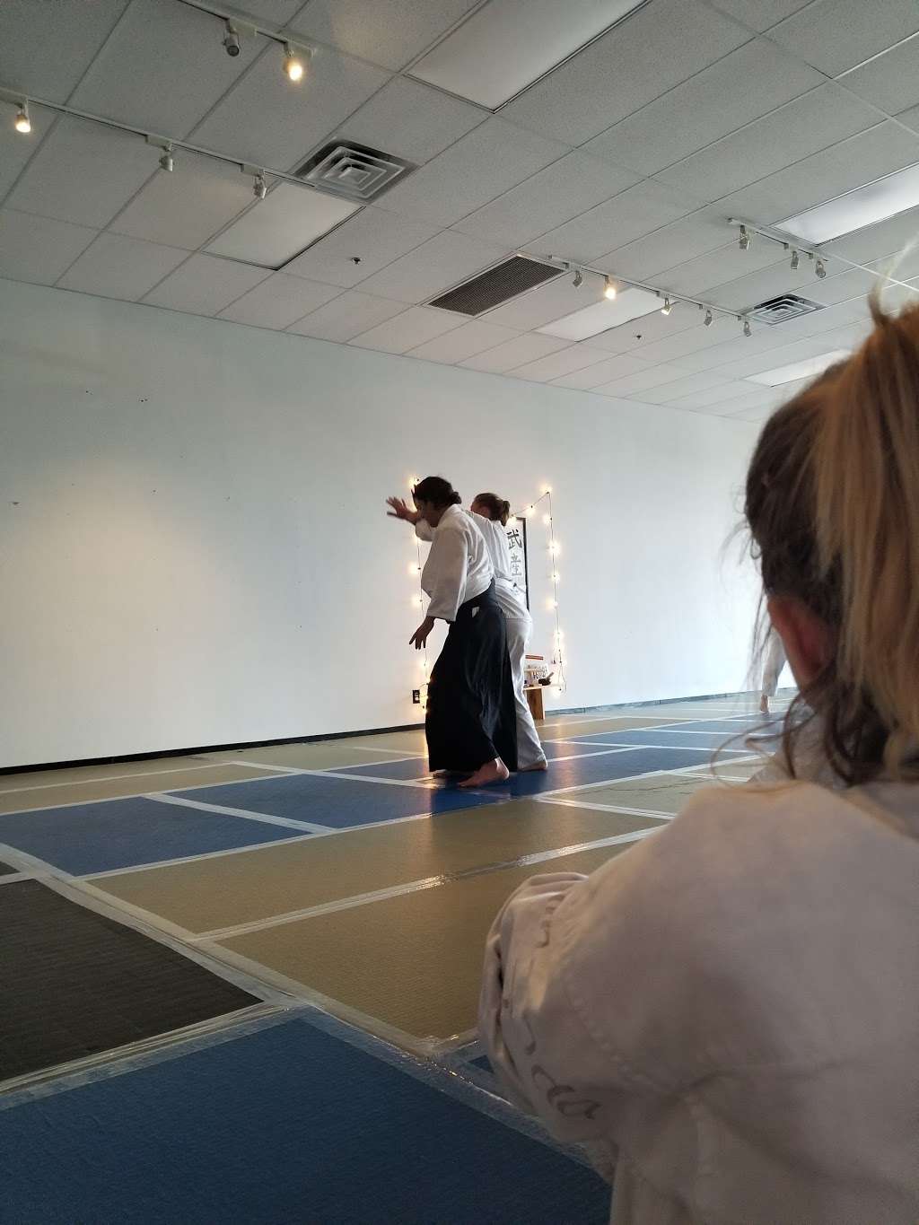 Henderson Aikido | 229 N Stephanie St D, Henderson, NV 89074, USA | Phone: (702) 719-1177