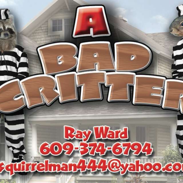 A Bad Critter Raccoon & Squirrel Removal | 2324 Atco Ave, Atco, NJ 08004, USA | Phone: (609) 374-6794