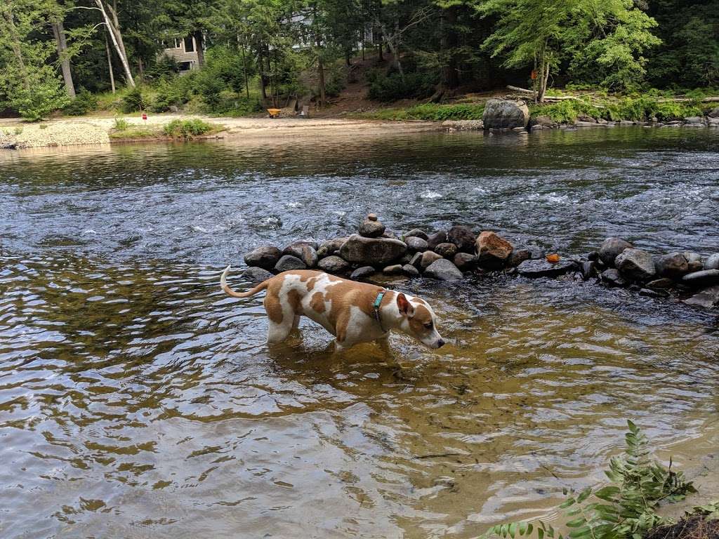 Wildcat Falls Conservation Area | Merrimack, NH 03054, USA | Phone: (603) 882-1046