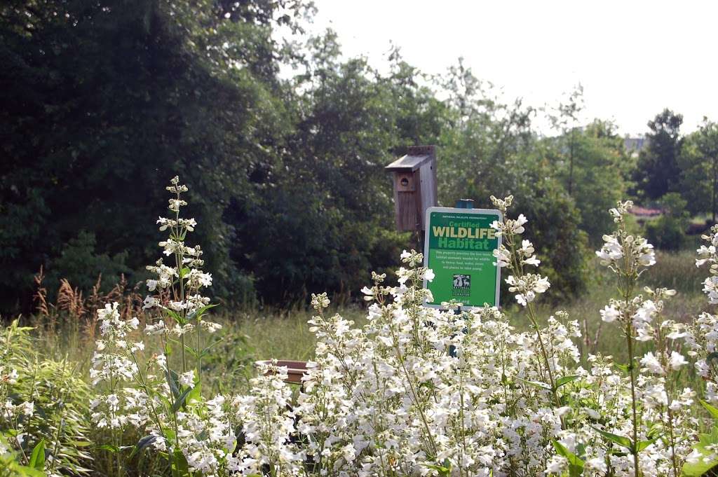 Cloverleaf Native Plant Demo Garden | Cloverleaf Ct, Ashburn, VA 20148, USA