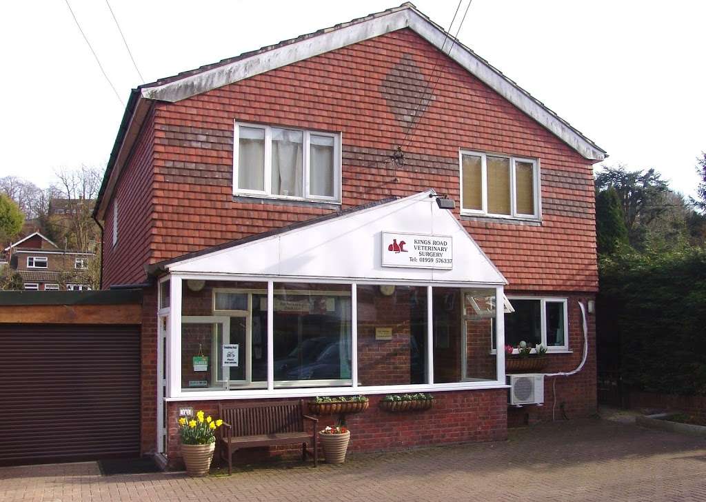 Kings Road Veterinary Surgery | 123 Kings Rd, Biggin Hill, Westerham TN16 3NH, UK | Phone: 01959 576337