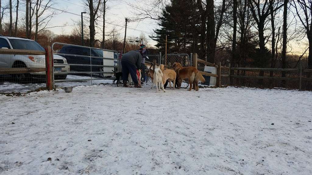 Easton Dog Park | 360 Sport Hill Rd, Easton, CT 06612