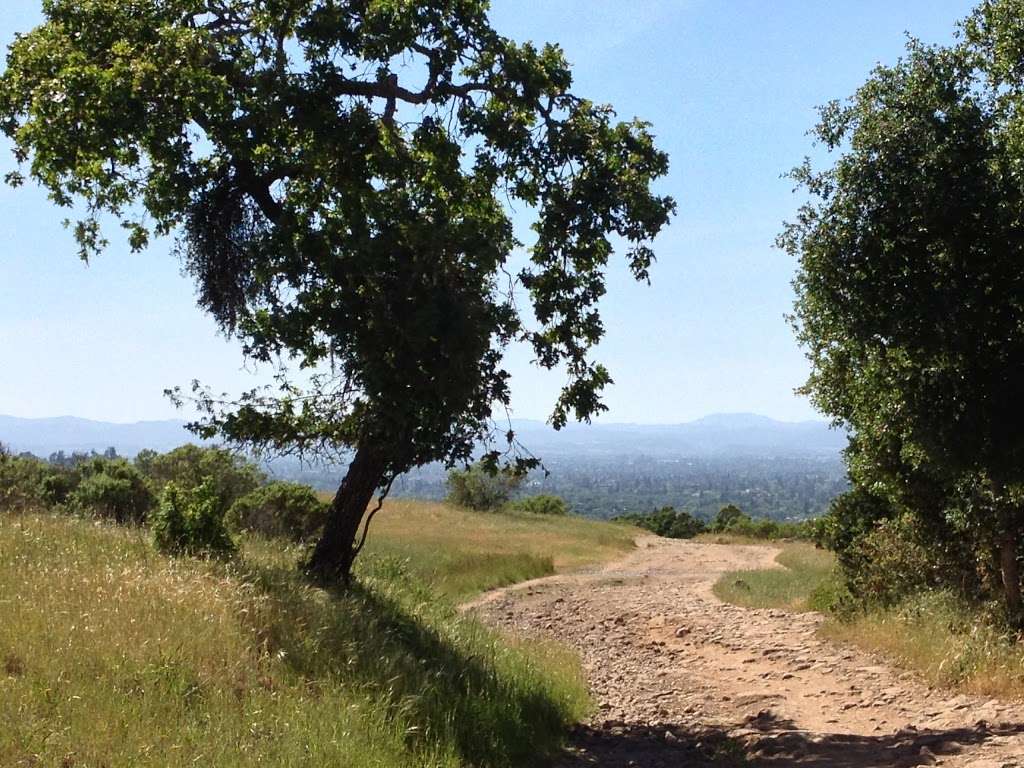 :Annadel Park: Parking for Cobblestone Loop Trail | Your directions send people to a private residence on, Skycrest Ct, Santa Rosa, CA 95405, USA